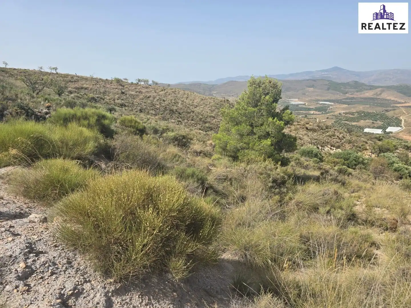 Terrain rustique à vendre à Alcolea, imagen 6