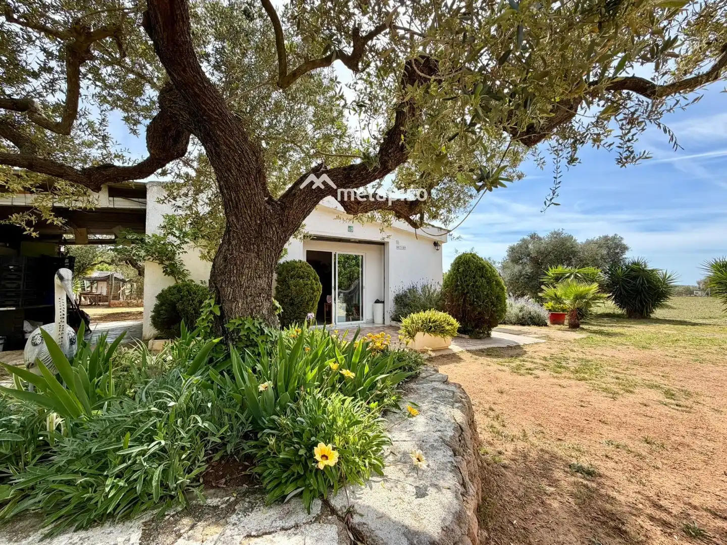 Terreno rustico in vendita a Santa Oliva, imagen 21