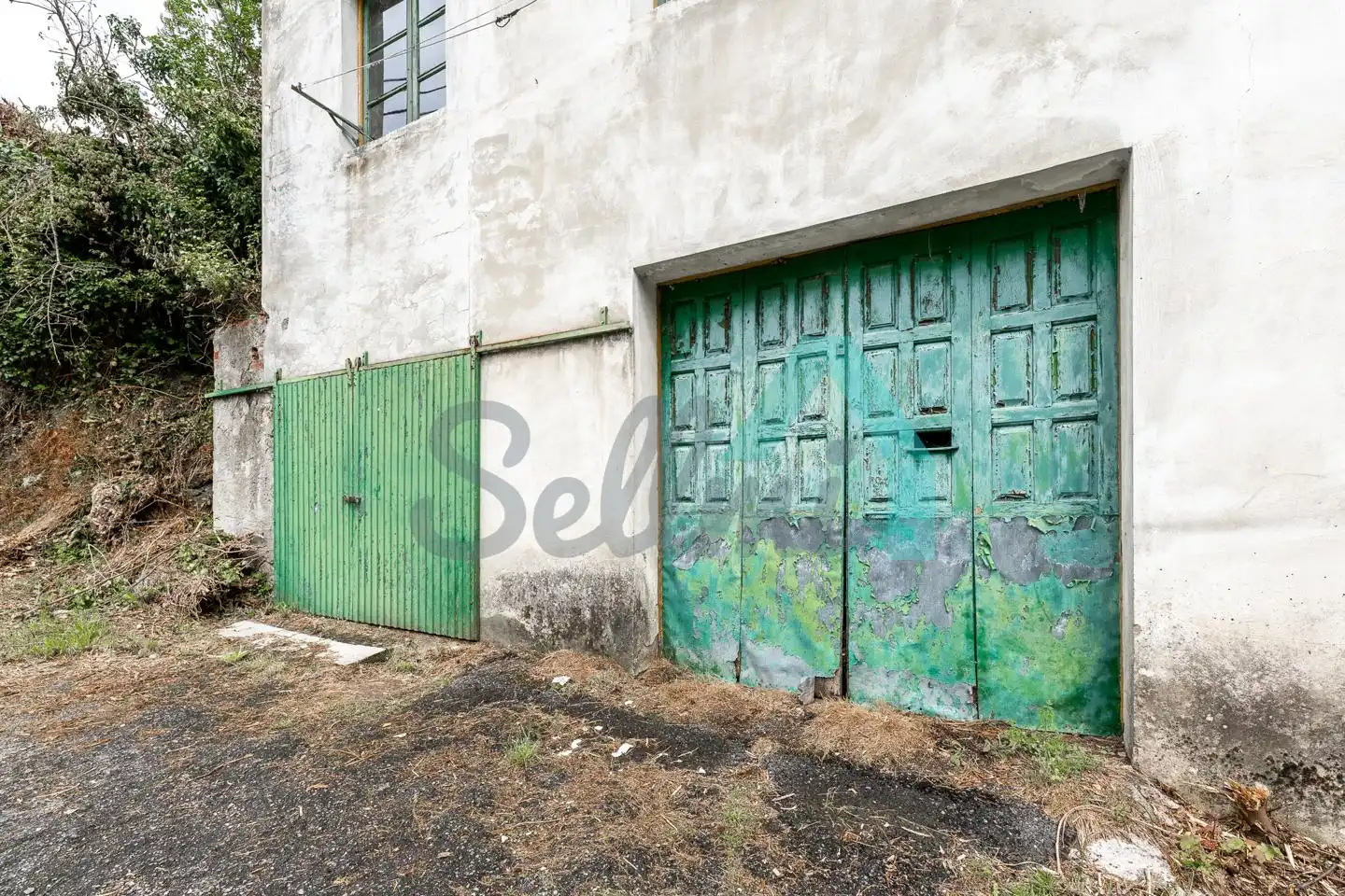 Vista exterior de Casa o chalet en venta en Cangas del Narcea con Jardín privado