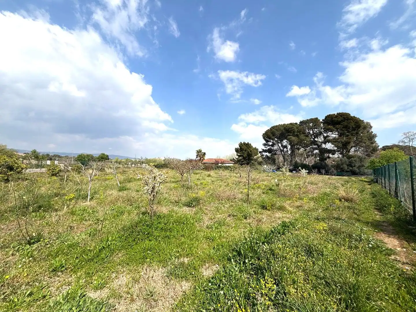 Rural land for sale in Santa Oliva, imagen 6