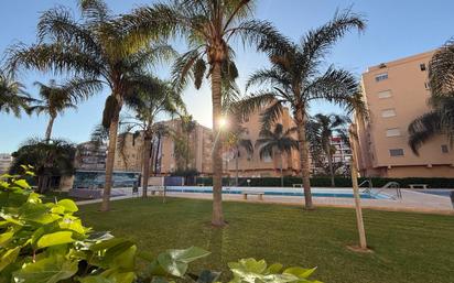 Swimming pool of Apartment for sale in La Pobla de Farnals  with Balcony and Community pool