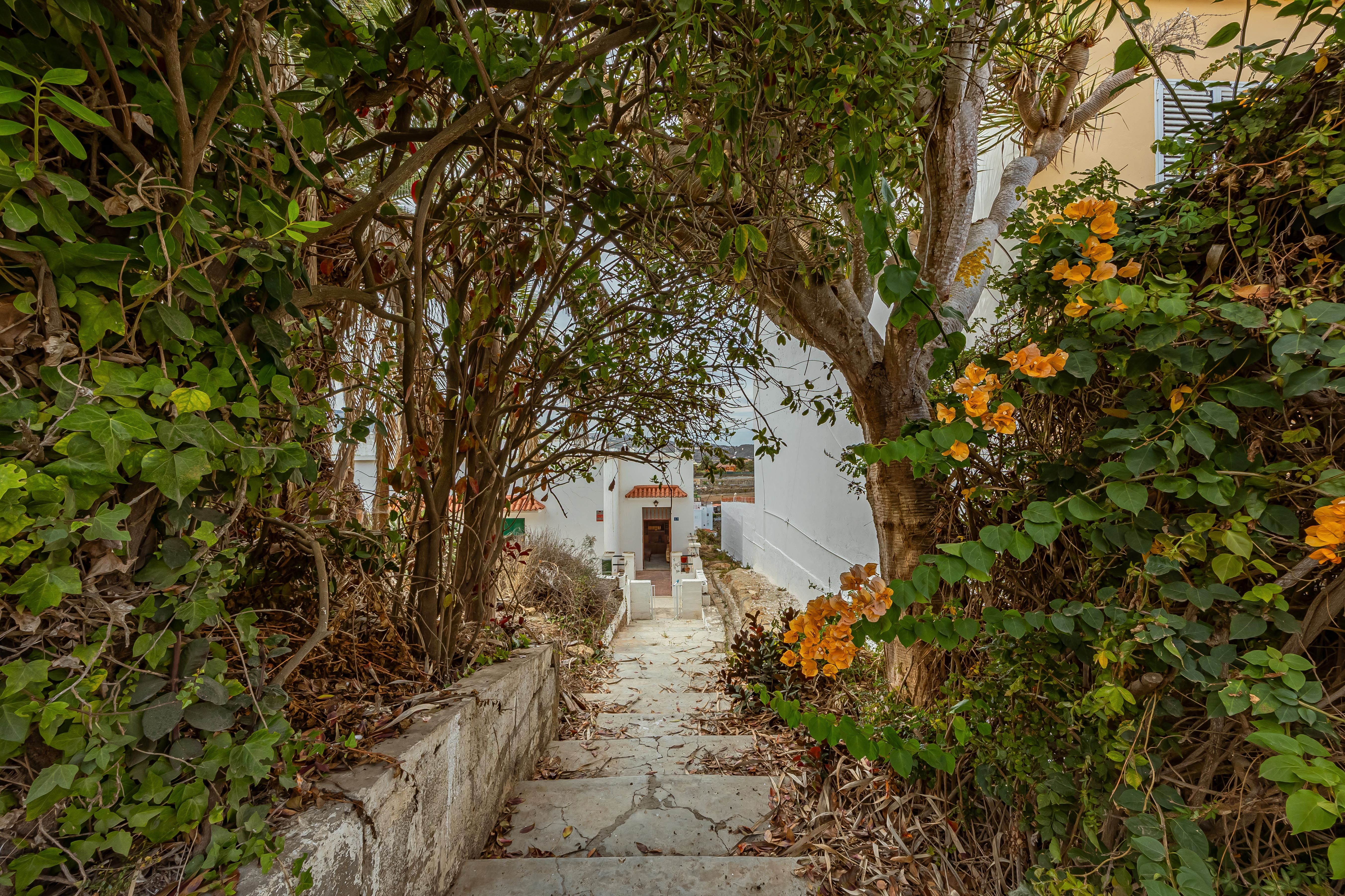 Exterior view of House or chalet for sale in Moya (Las Palmas)  with Terrace and Storage room