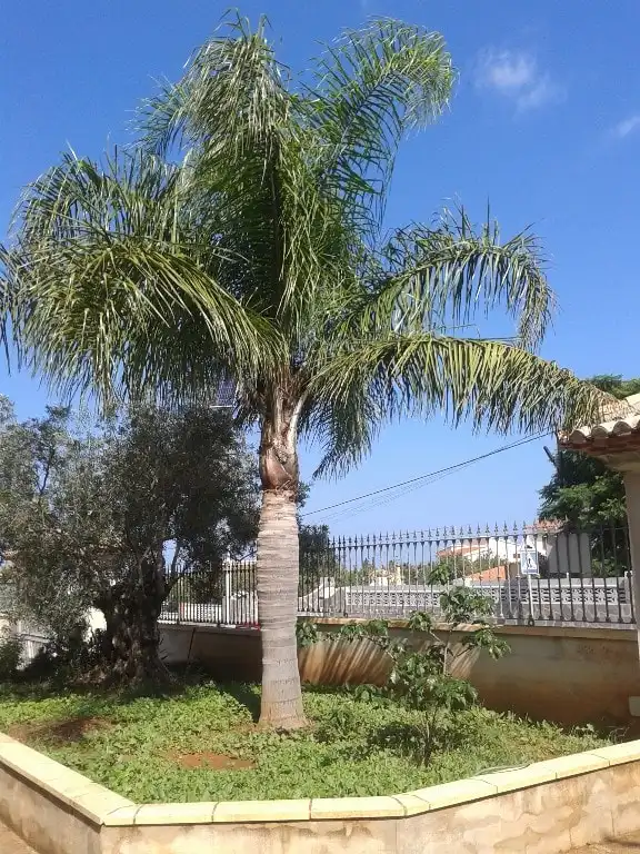 Casa en venta en La Pedrera - Vessanes, imagen 18