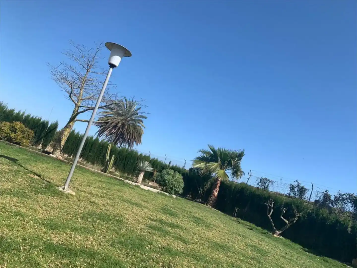 Jardín de Piso en venta en Elche / Elx con Aire acondicionado, Piscina y Balcón