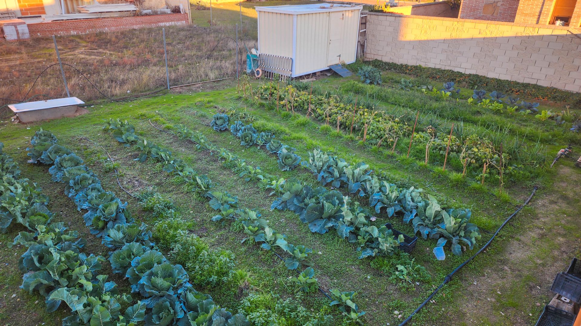 Garden of Residential for sale in Villa del Prado