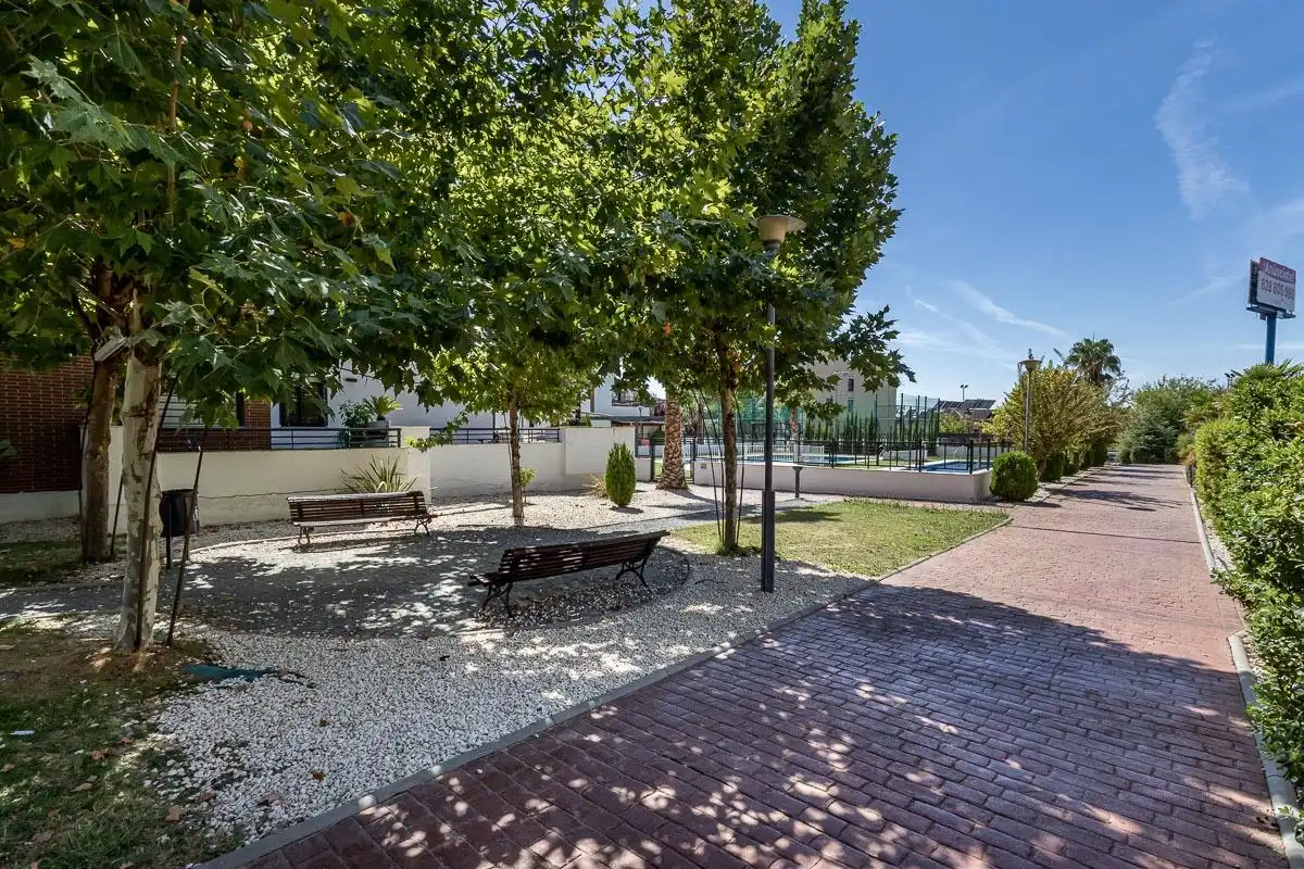 Piso con piscina en venta en Loma Verde, imagen 41