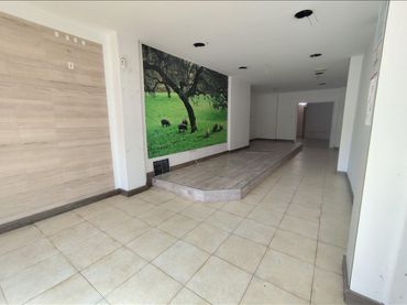 Local comercial de lloguer a Avenida DR.LOPEZ-CANTARERO BALLES 3