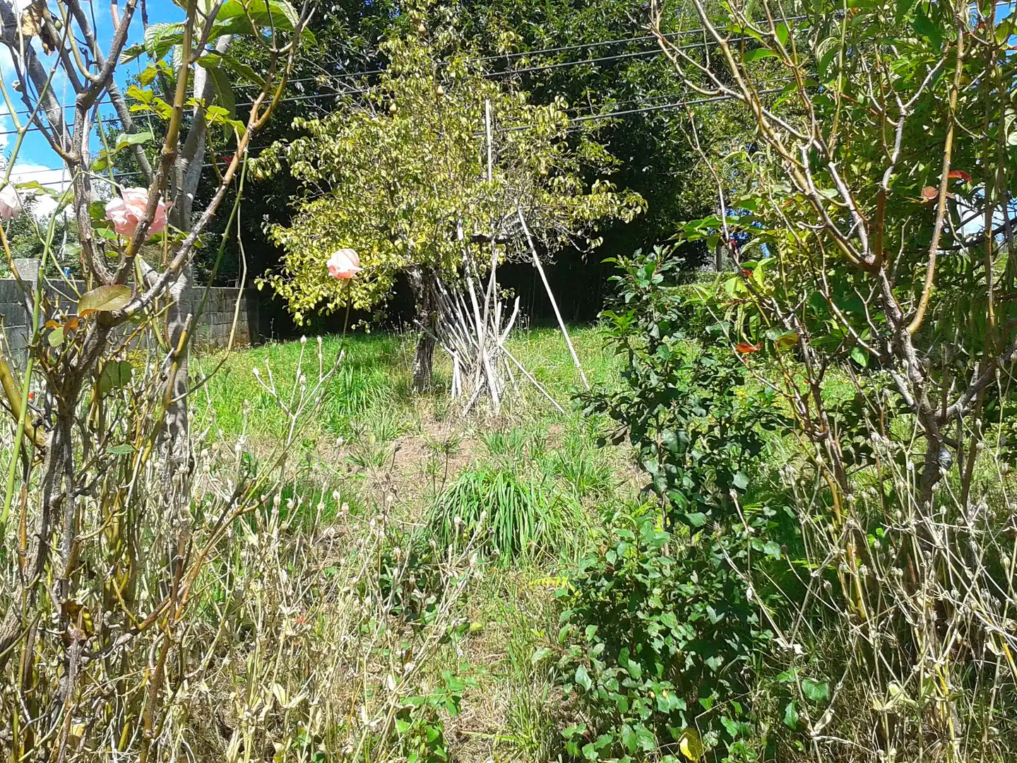 Casa o chalet en venta en N/A, Vilasantar