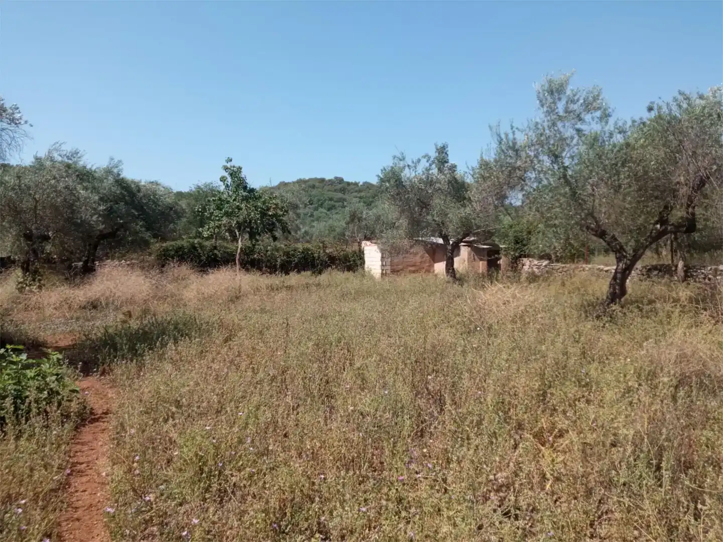 Finca rústica en venda en Corteconcepción amb Jardí privat