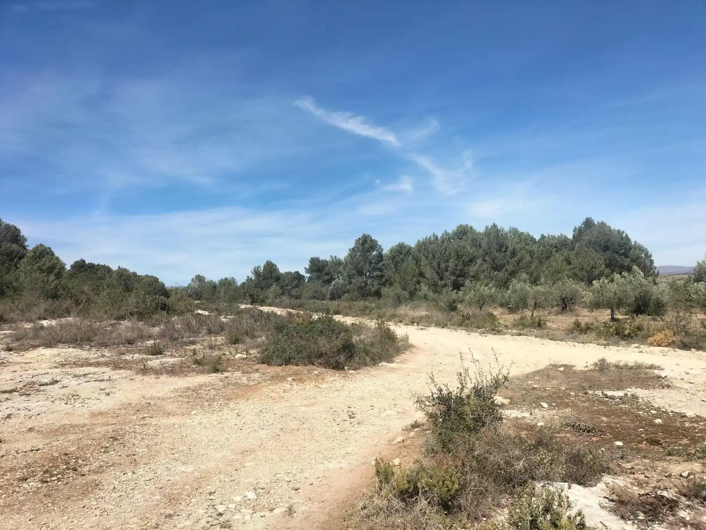 Terreno rustico in vendita a Navarrés, imagen 23