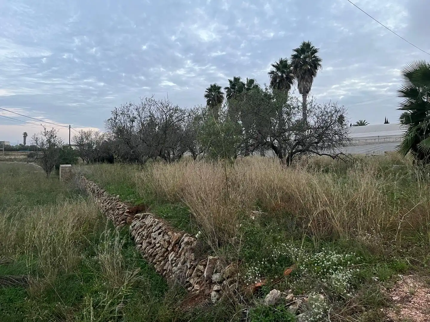 Residential land for sale in Teulada, imagen 2