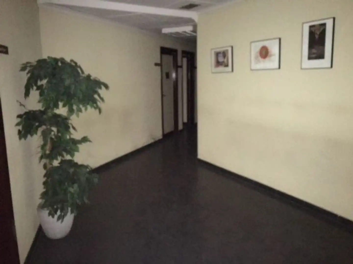 Business premises for sale in Calle Alejandro Prieto, imagen 5