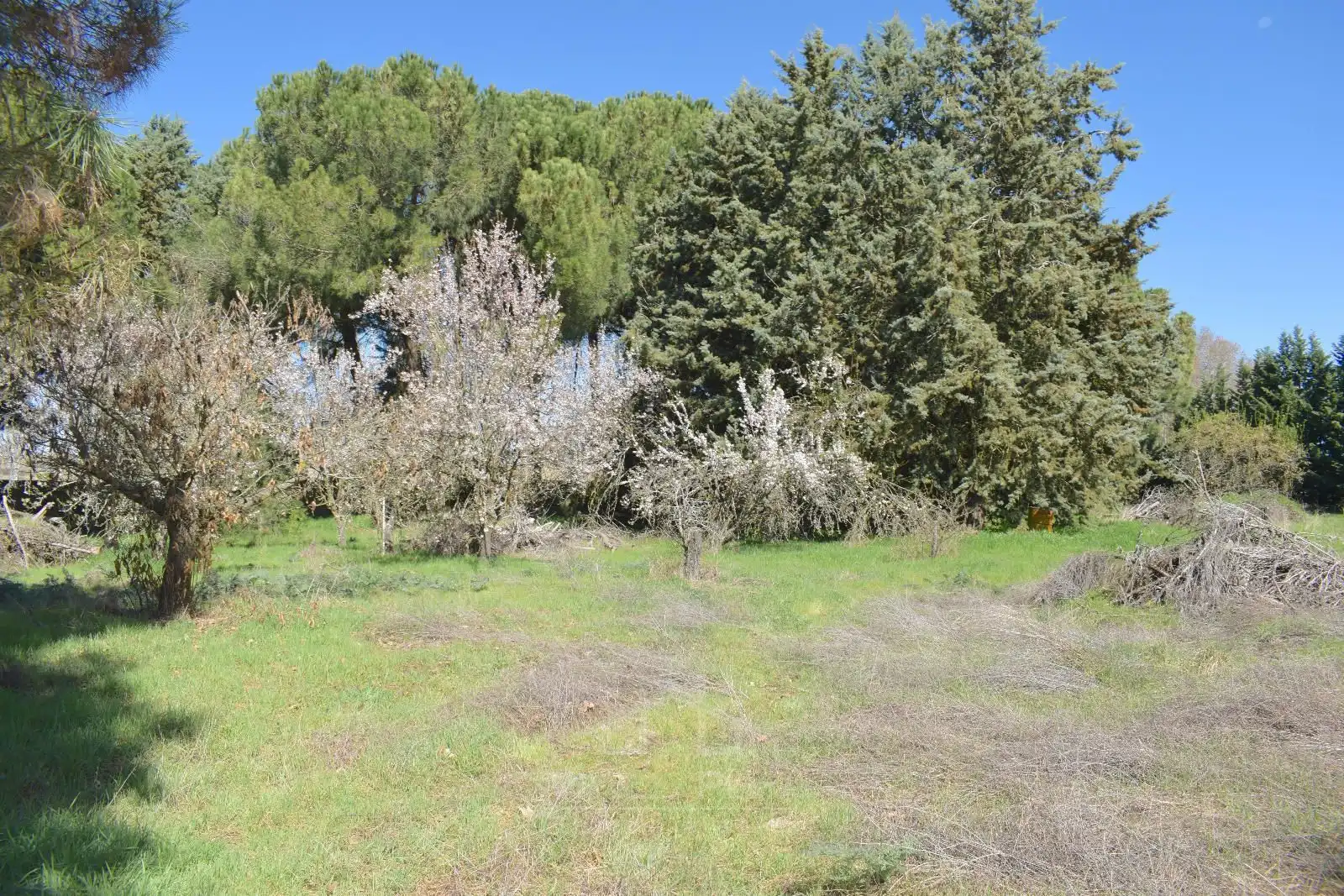 Casa o chalet en venta en Villoria con Calefacción, Jardín privado y Terraza