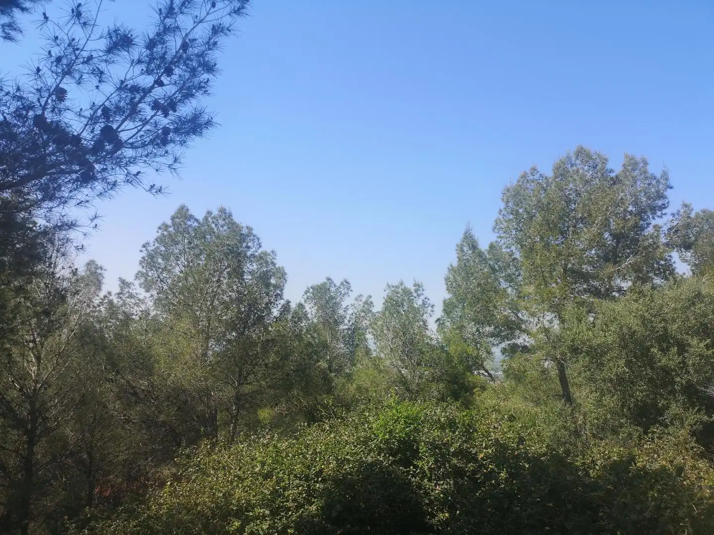 Terreno residencial en venta en Urbanitzacions i Pedanies Nord, imagen 11