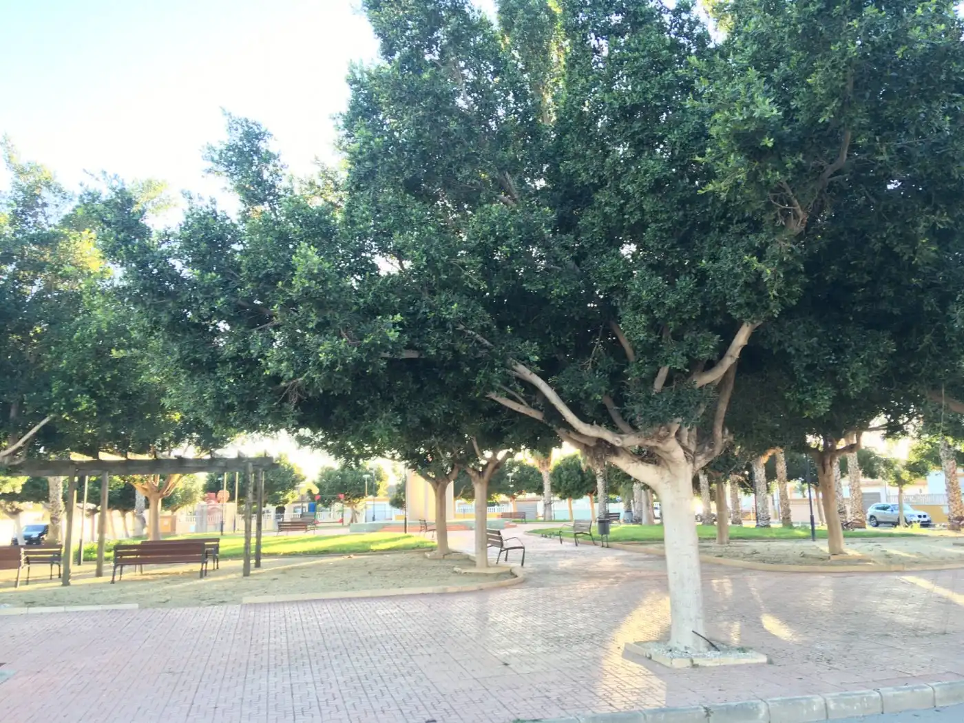 Lands and plots for sale in Pulpí pueblo