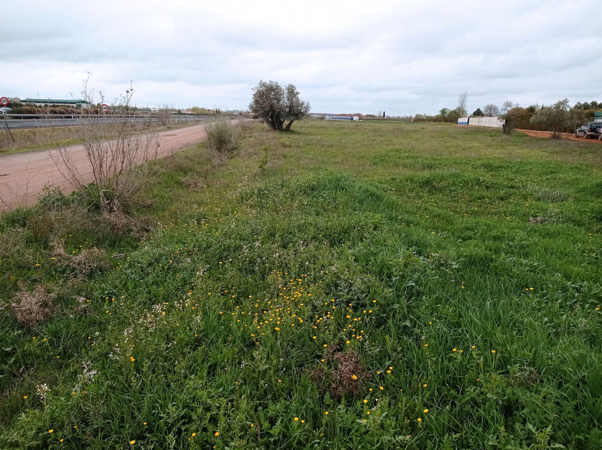 Land for sale in Ciudad Real Capital