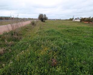 Land for sale in Ciudad Real Capital