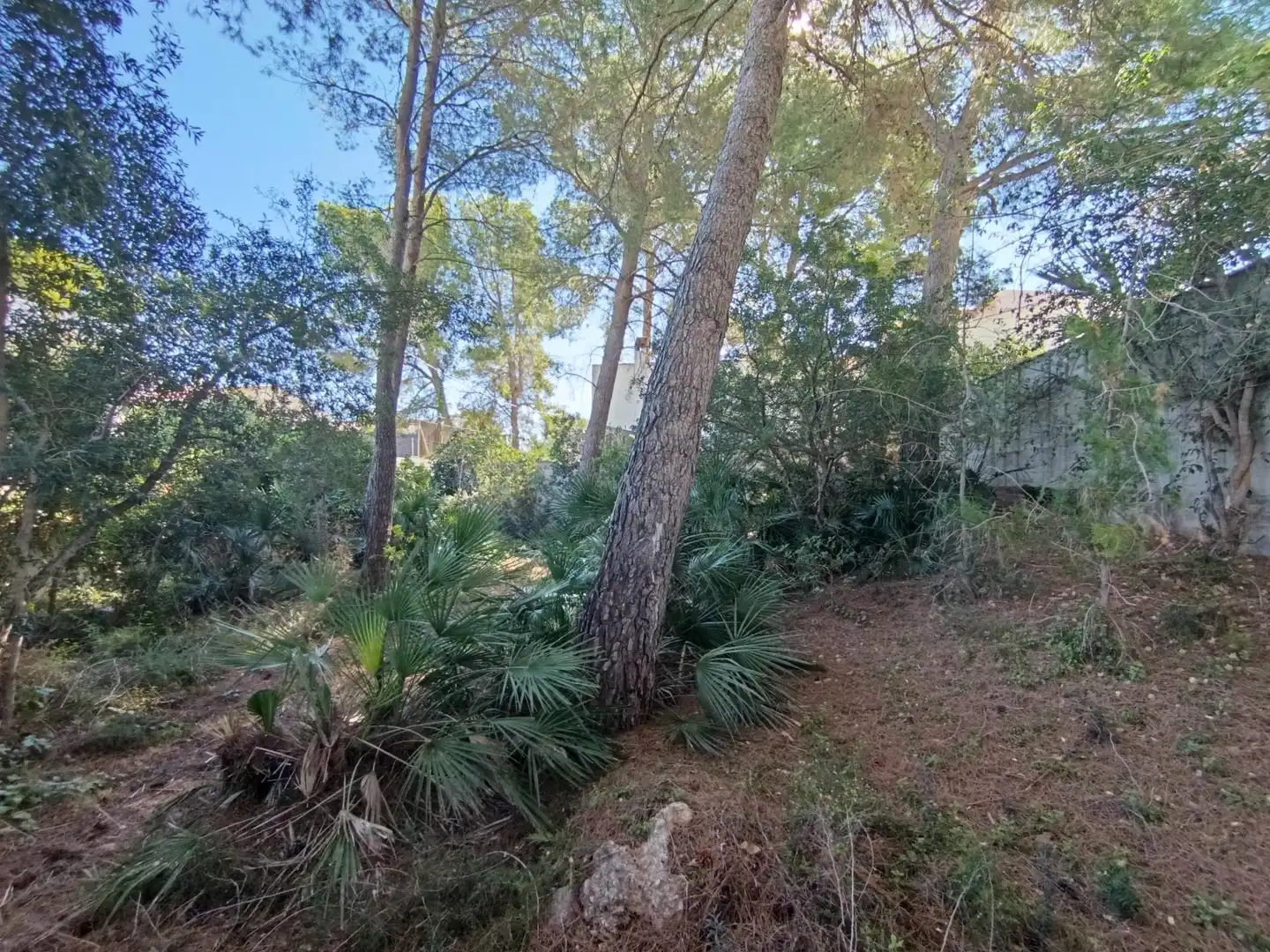 Maison avec terrasse à vendre à Les Tres Cales, imagen 17