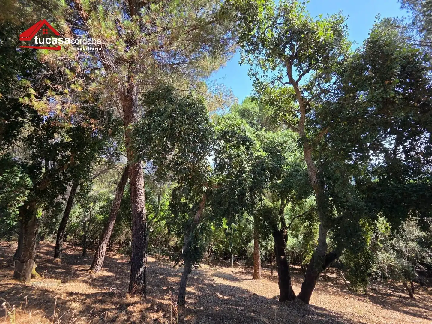 Maison rustique à vendre à Periurbano Oeste - Sierra, imagen 23