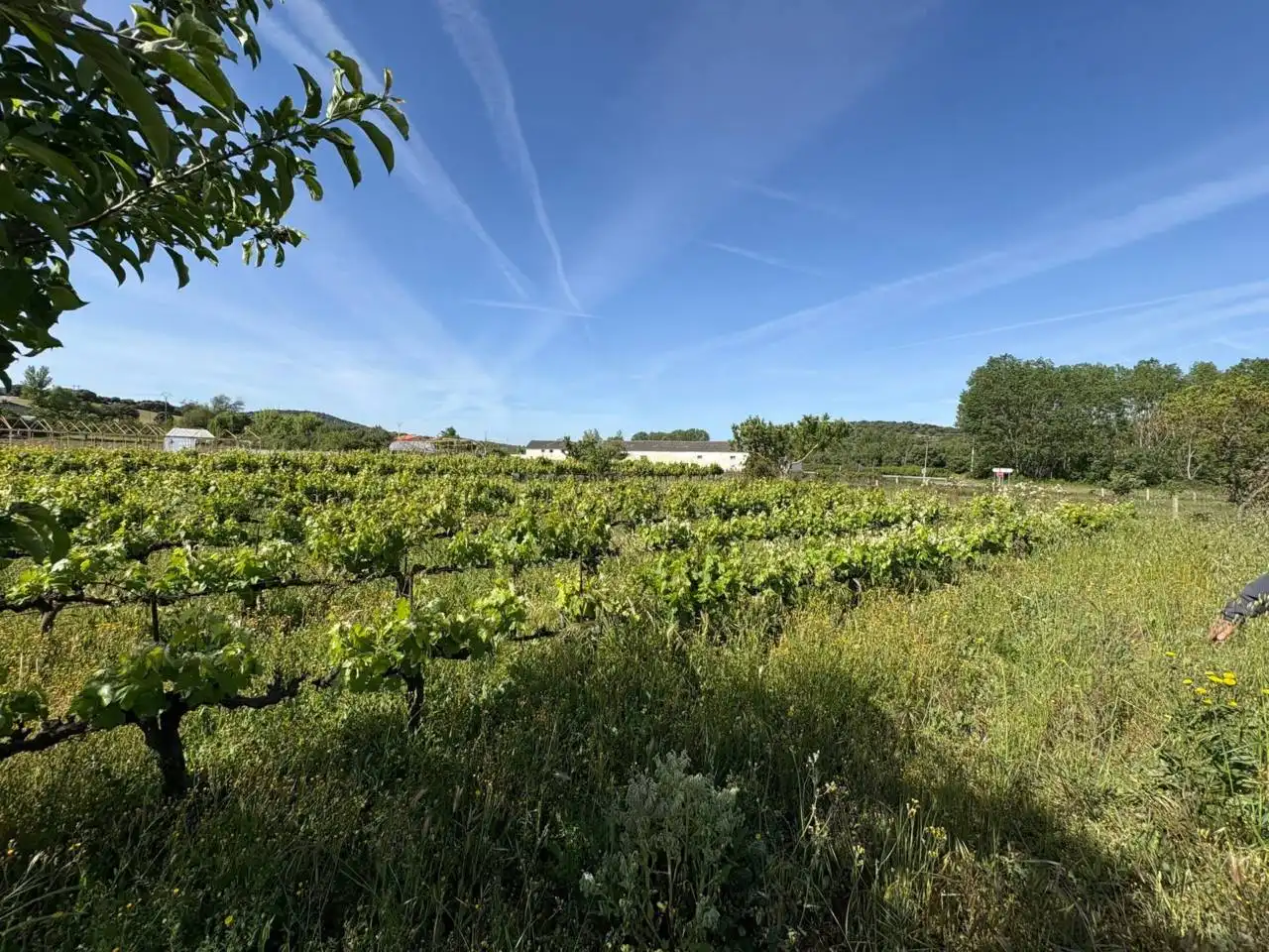 Terreno residenziale in vendita a Ciudad Rodrigo, imagen 12