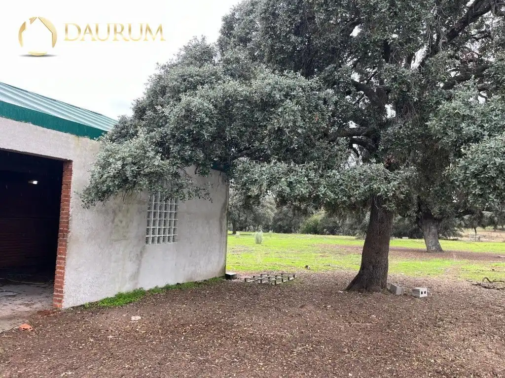 Jardín de Casa o chalet en venta en Aldea del Fresno