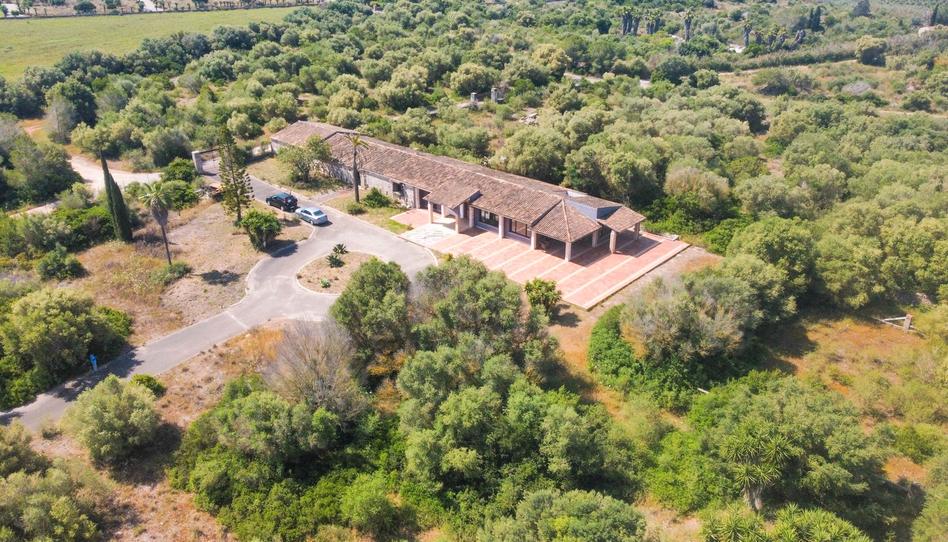 Photo 1 of House or chalet for sale in Can Picafort, Illes Balears