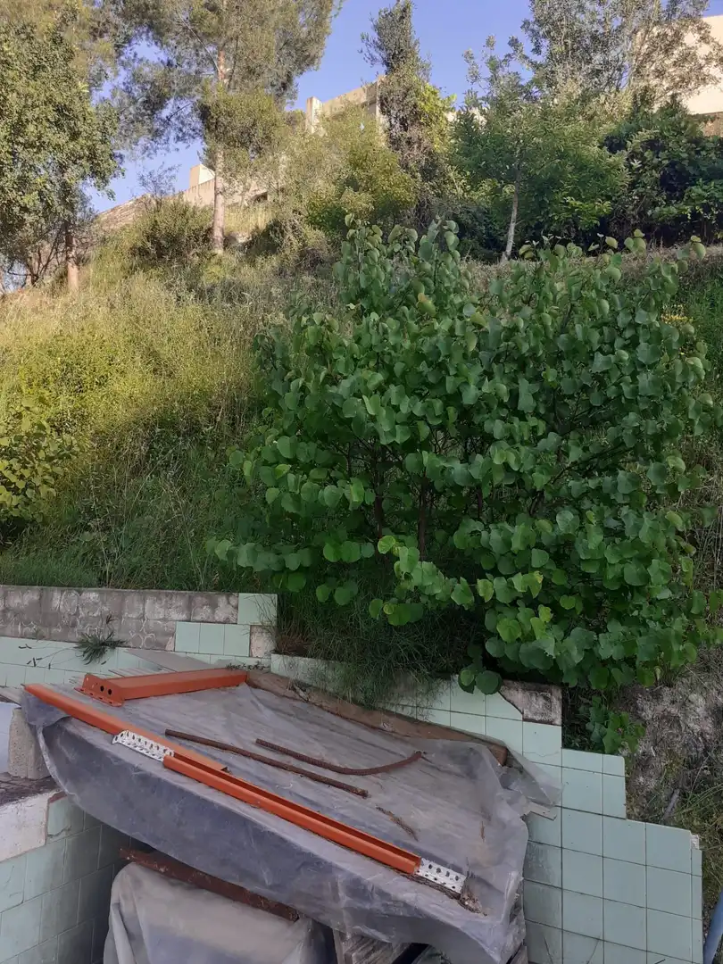 Terreno residencial en venta en Xàtiva, imagen 4