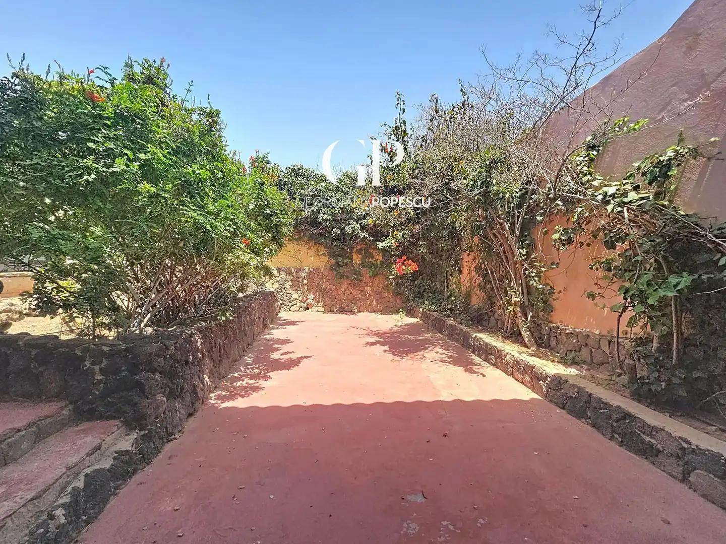Jardí de Casa o xalet en venda en La Oliva amb Piscina i Moblat