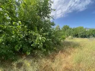 Houses for sale in Partida De Hornillos, Moratalla