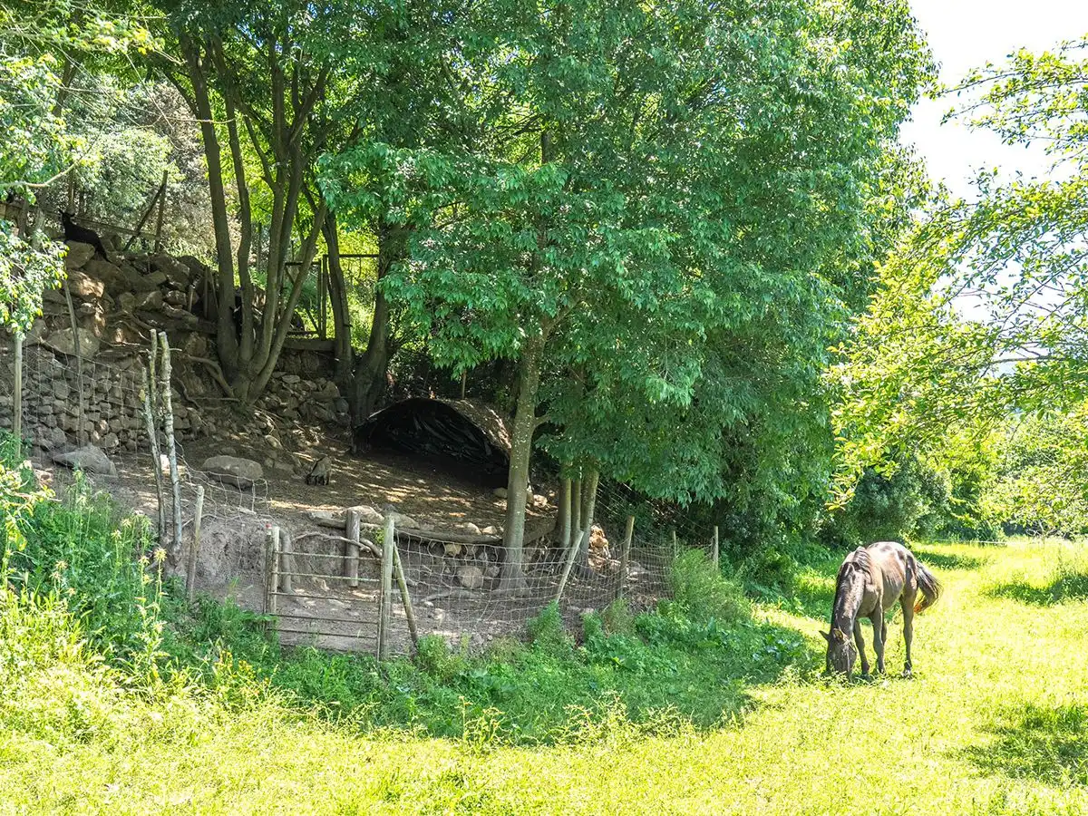 Landhaus mit Garten zum Verkauf in Olot, imagen 11