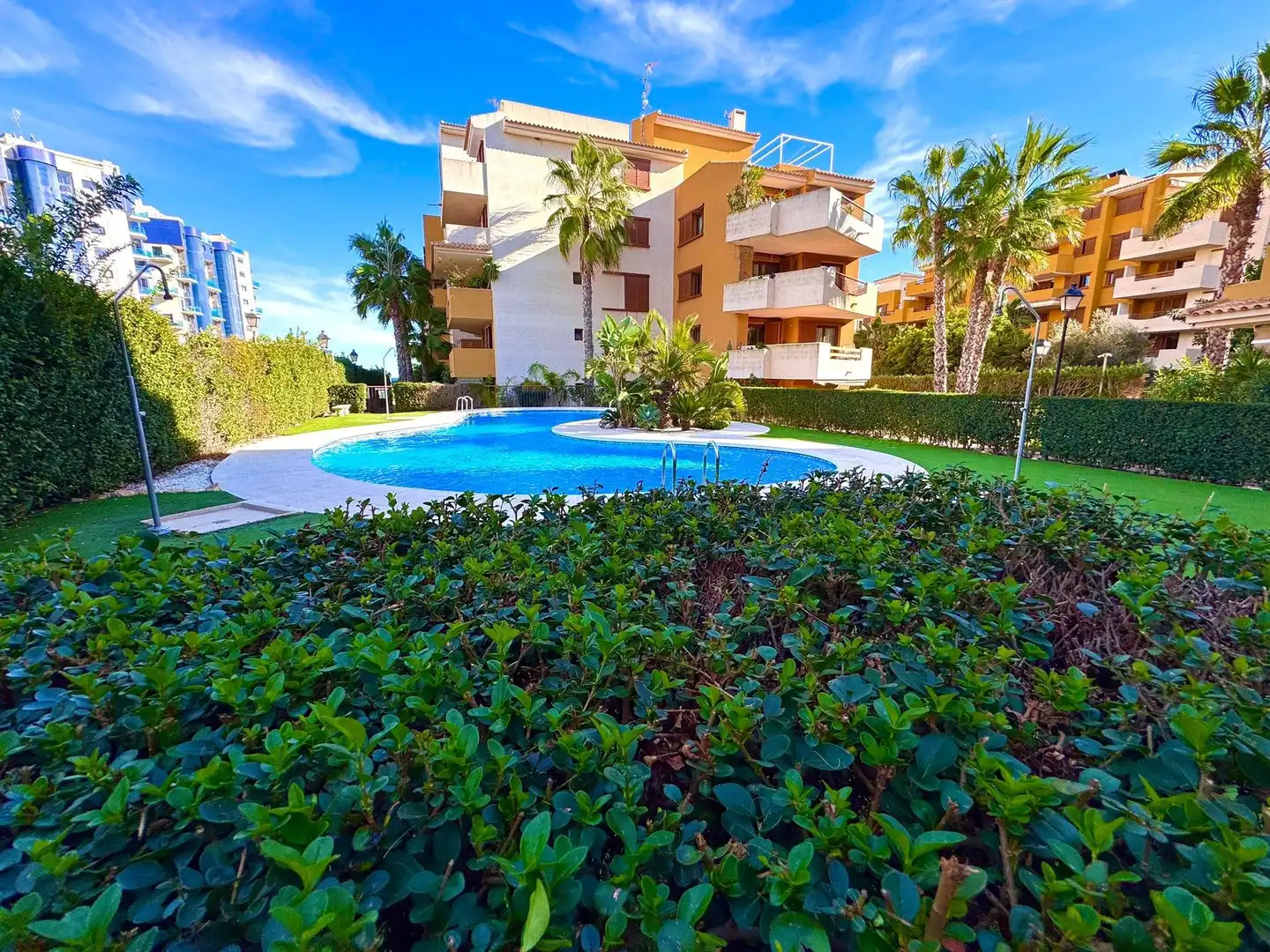Piscina de Apartament en venda en Torrevieja amb Aire condicionat, Calefacció i Jardí privat