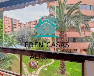 Vista exterior de Apartament en venda en Alicante / Alacant amb Aire condicionat, Terrassa i Balcó