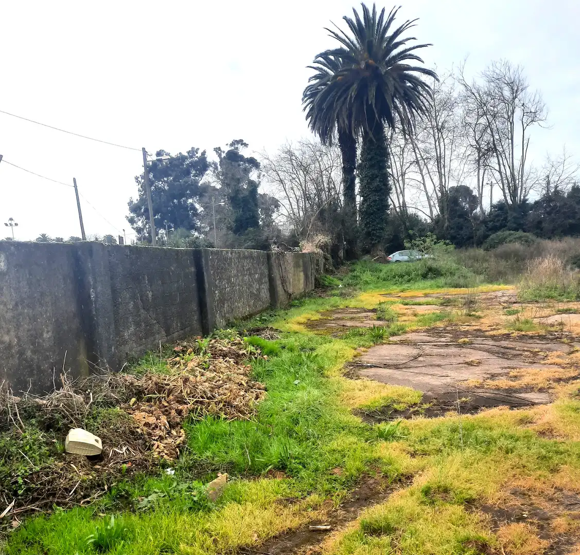Terreny residencial en venda a CARLOS PRIETO, imagen 13