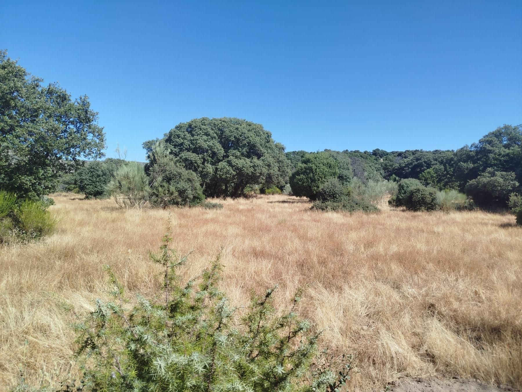 Finca rústica en venta en La Oliva