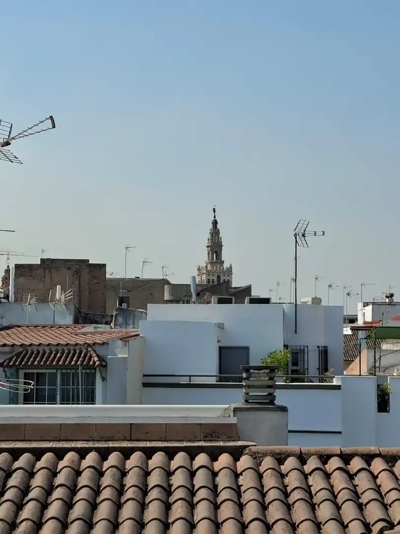 Vista exterior de Estudi en venda en Sevilla amb Aire condicionat