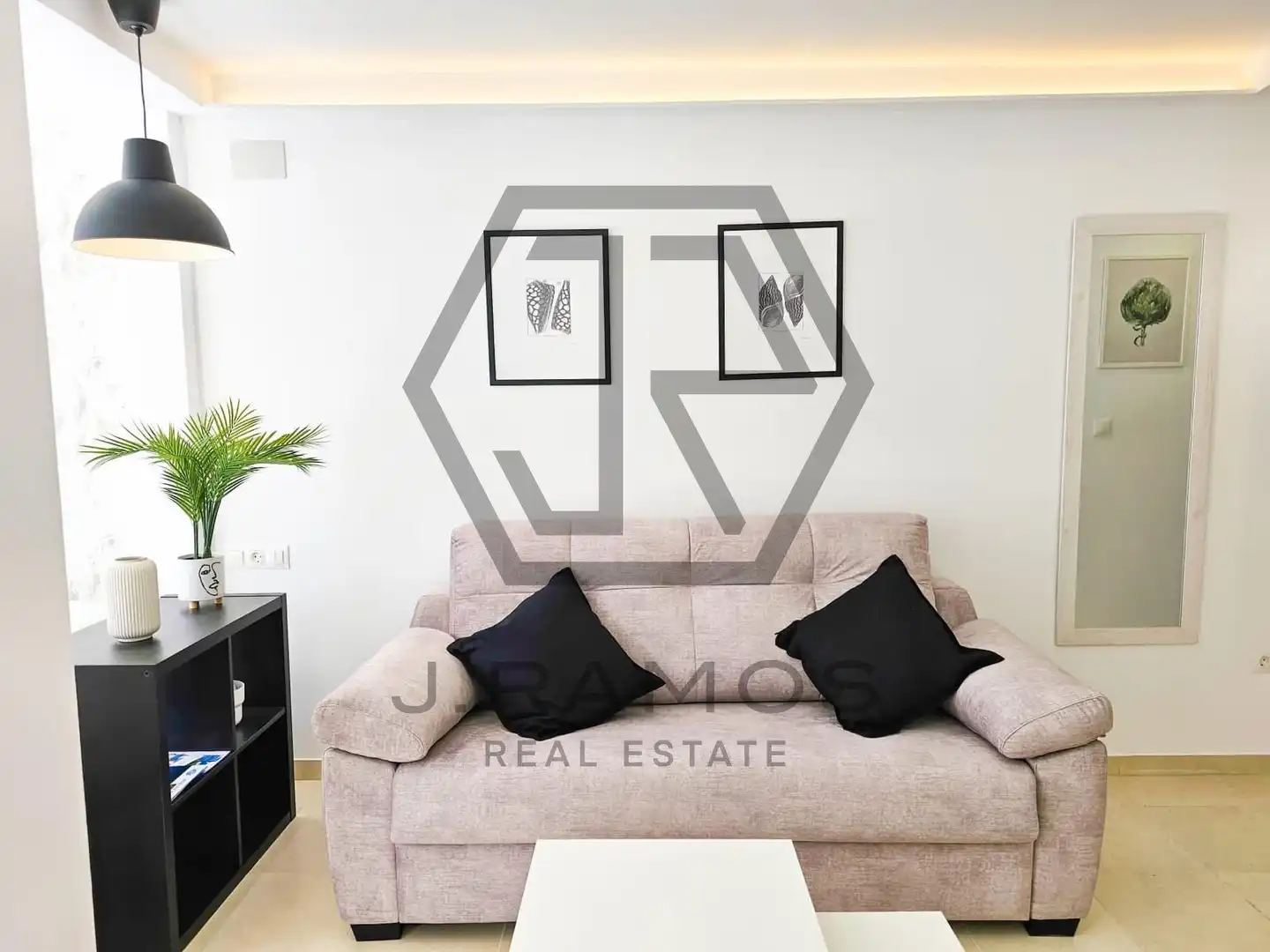Study for rent in calafate, Centro