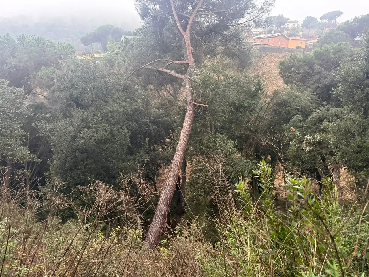 Terreno residenziale in vendita a Can Massuet del Far, imagen 6