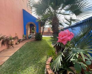 Garden of Single-family semi-detached for sale in Algeciras  with Heating, Private garden and Parquet flooring