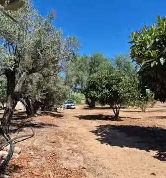 Terreno rustico in vendita a Carrer de França 3, imagen 7