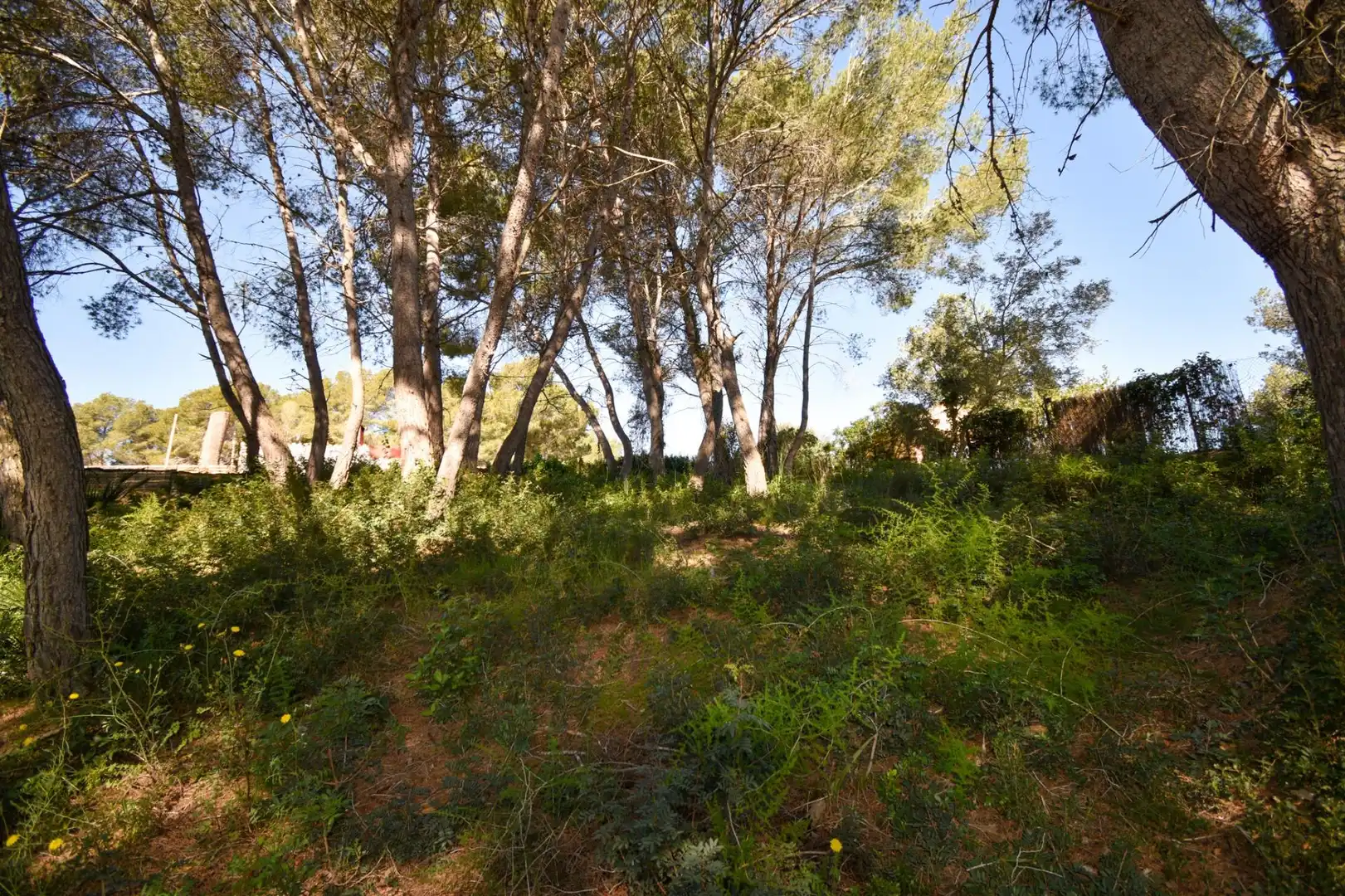 Terreny residencial en venda a Olivella, imagen 4