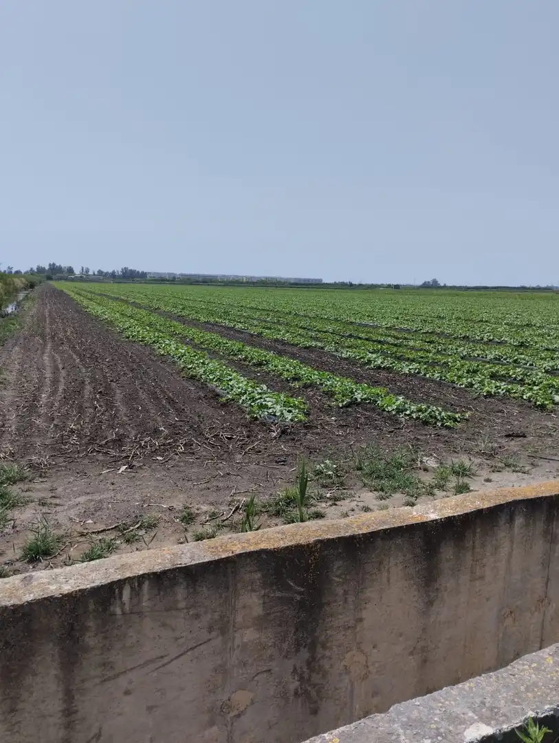 Rural land for sale in N/A, imagen 9