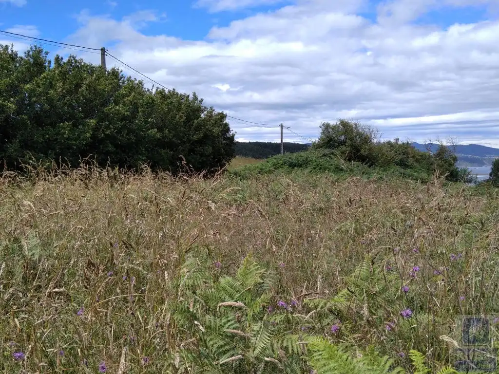 Terreno rustico in vendita a Santa María del Mar - El Puerto, imagen 16