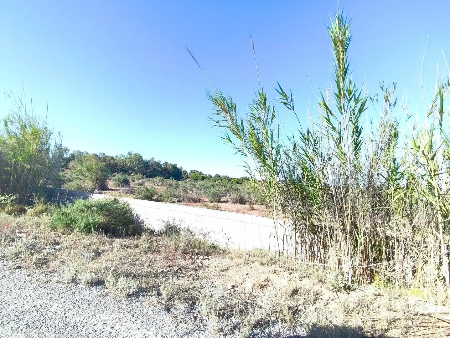 Terreno residencial en venta en Polígono POLIGONO 126 BALSARES 126, imagen 8