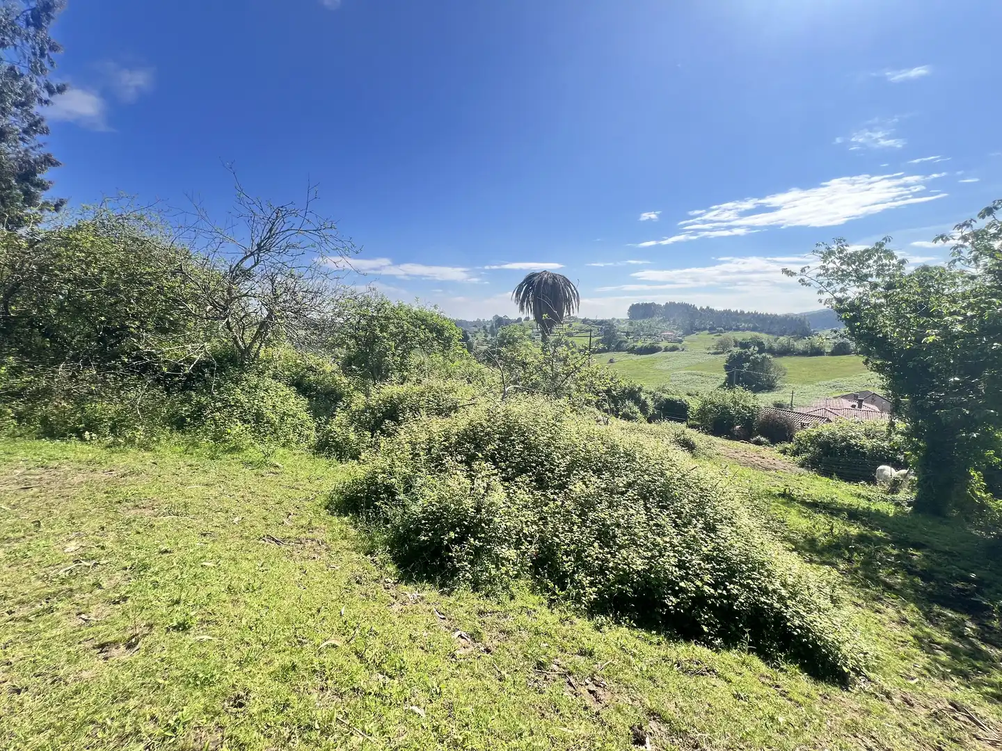 Detached homes for sale in Castrillón