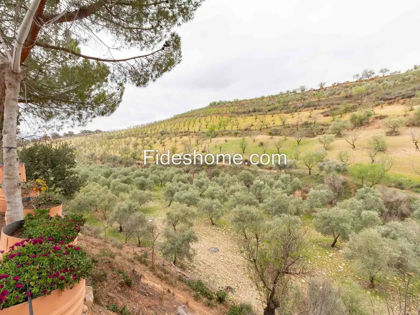 Maison rustique avec piscine à vendre à X9C8+FWH Cónchar 0, imagen 78