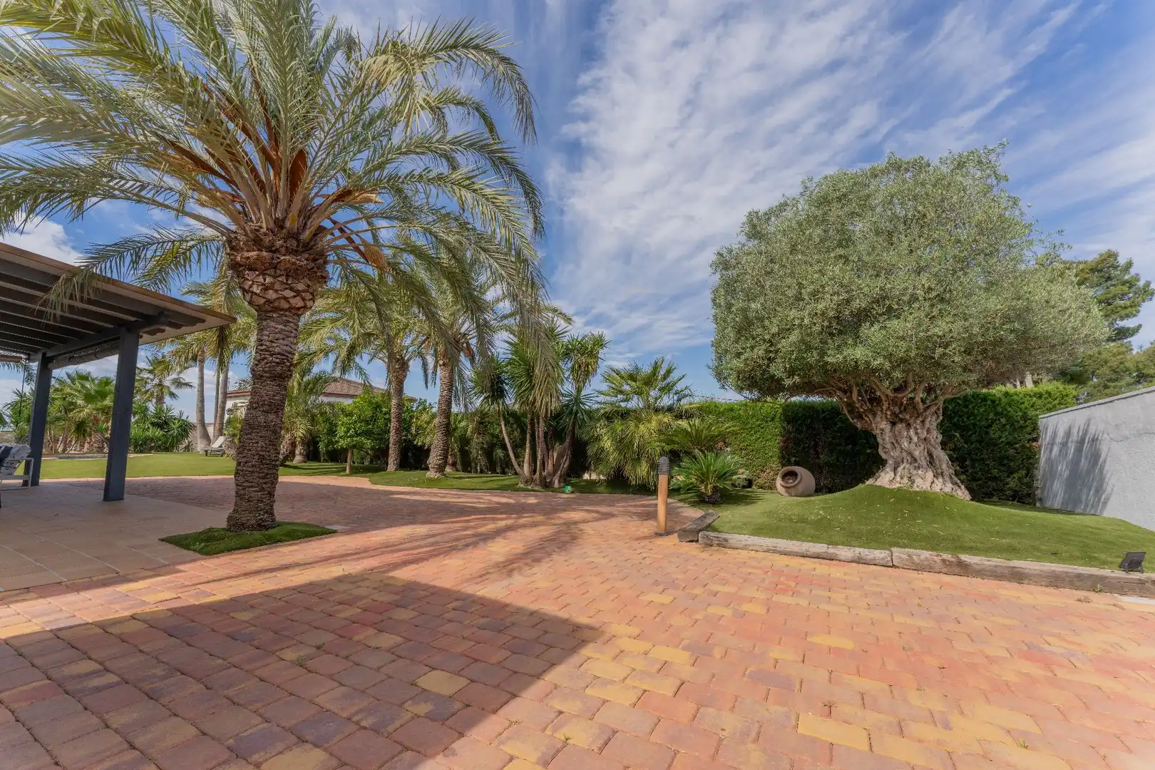 Jardín de Casa o chalet en venta en Petrer con Aire acondicionado, Calefacción y Jardín privado