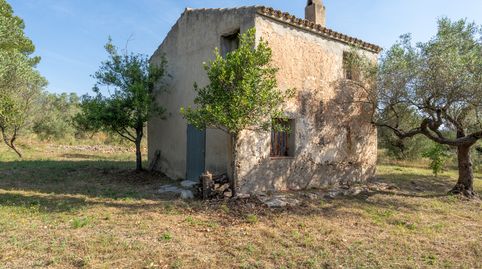 Finca rústica con masía de 2 plantas para reformar