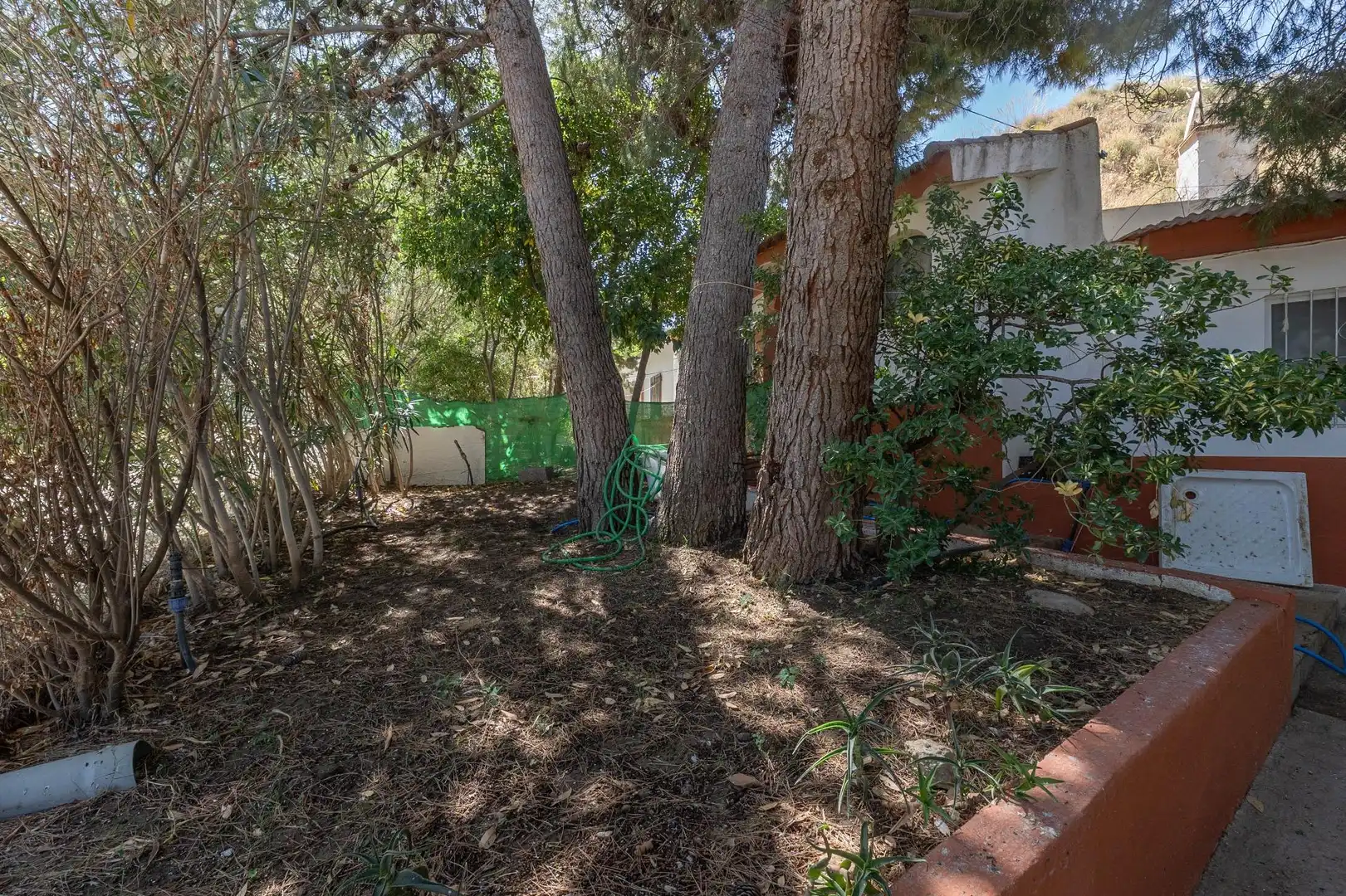 Jardín de Finca rústica en venta en Caniles