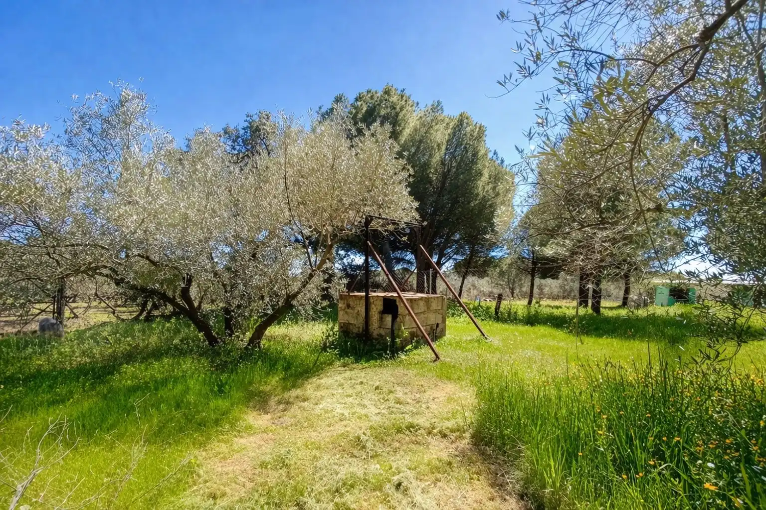 Finca rústica en venda en Andújar amb Jardí privat i Terrassa