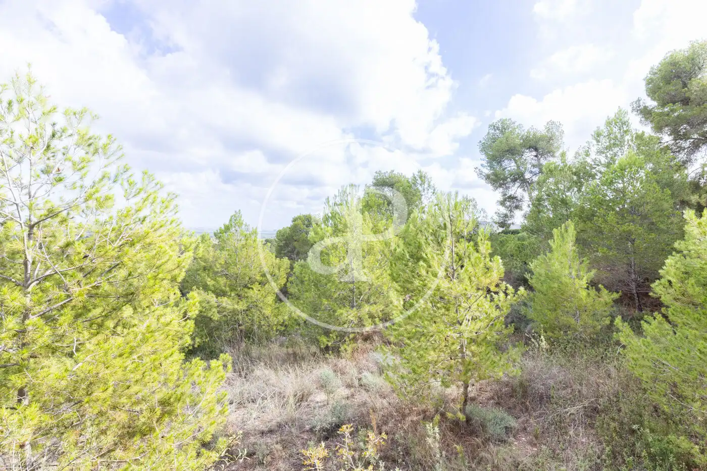 Wohnbaugrundstück zum Verkauf in El Bosque, imagen 3
